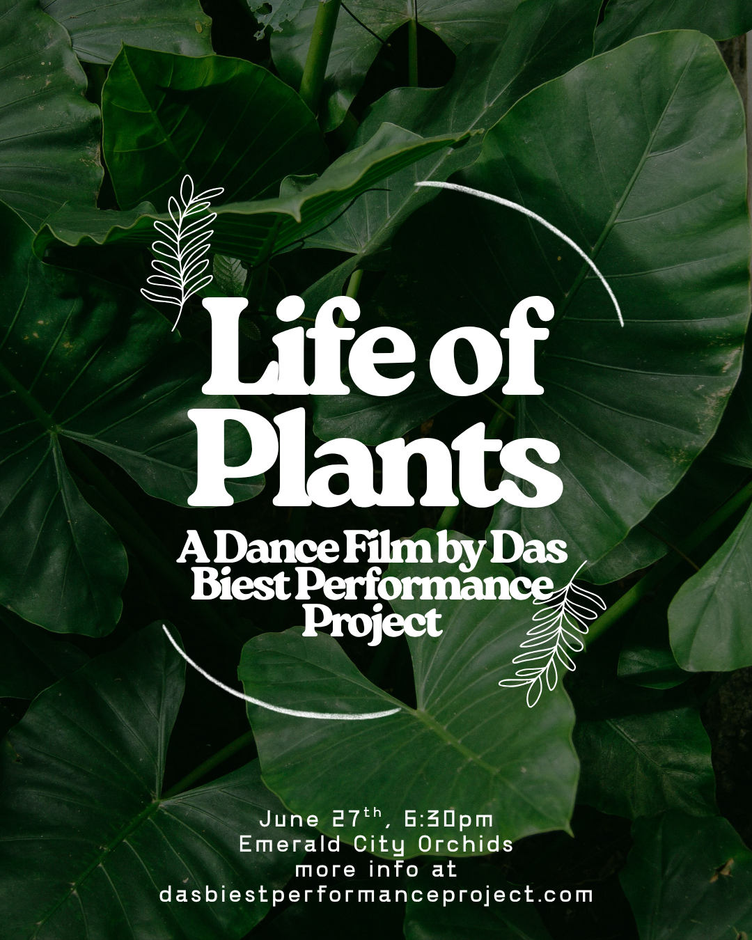 Life Of Plants - Dance Film Screening