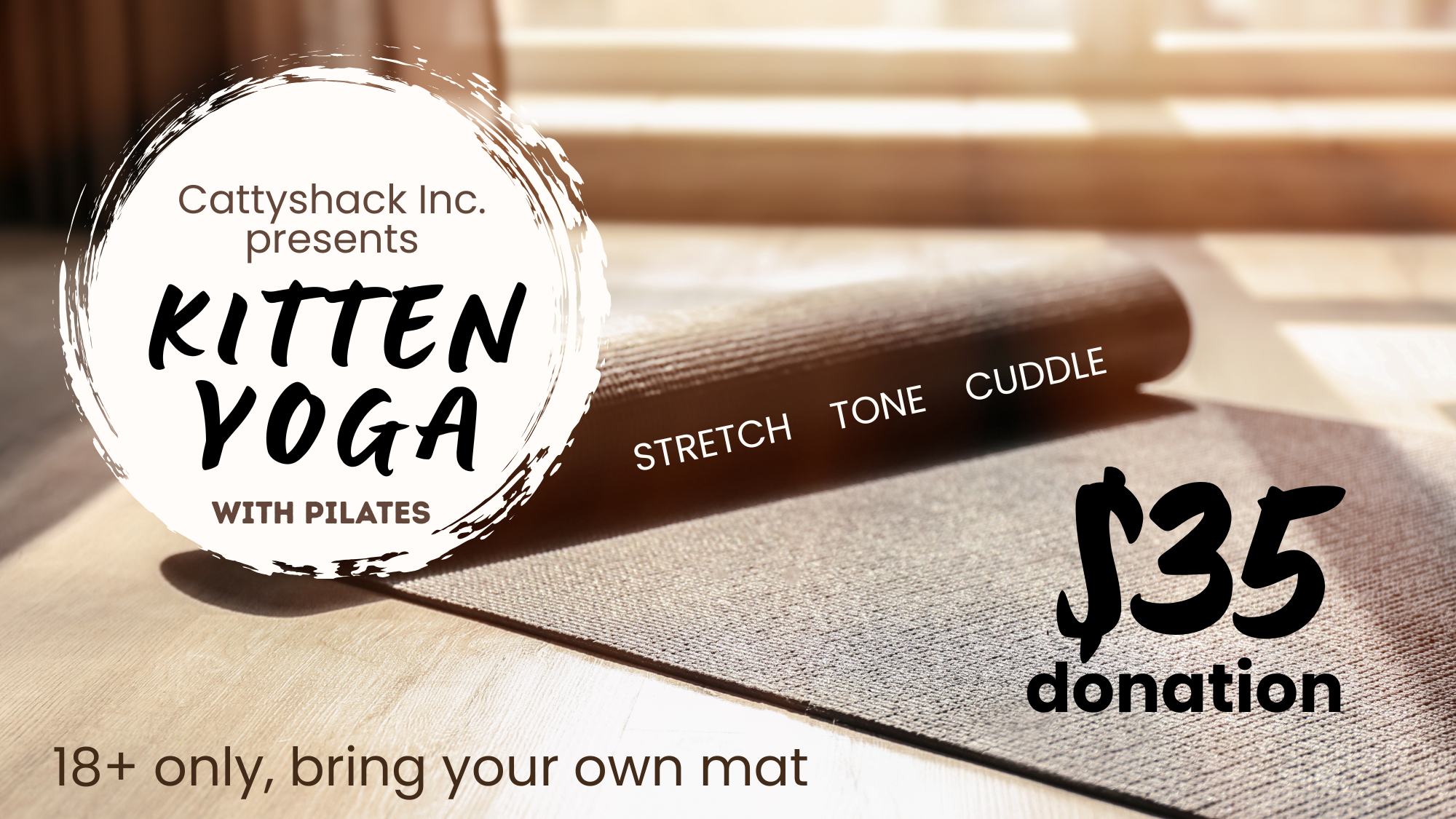 Kitten Yoga & Pilates at Cattyshack Kitten Yoga & Pilates at Cattyshack