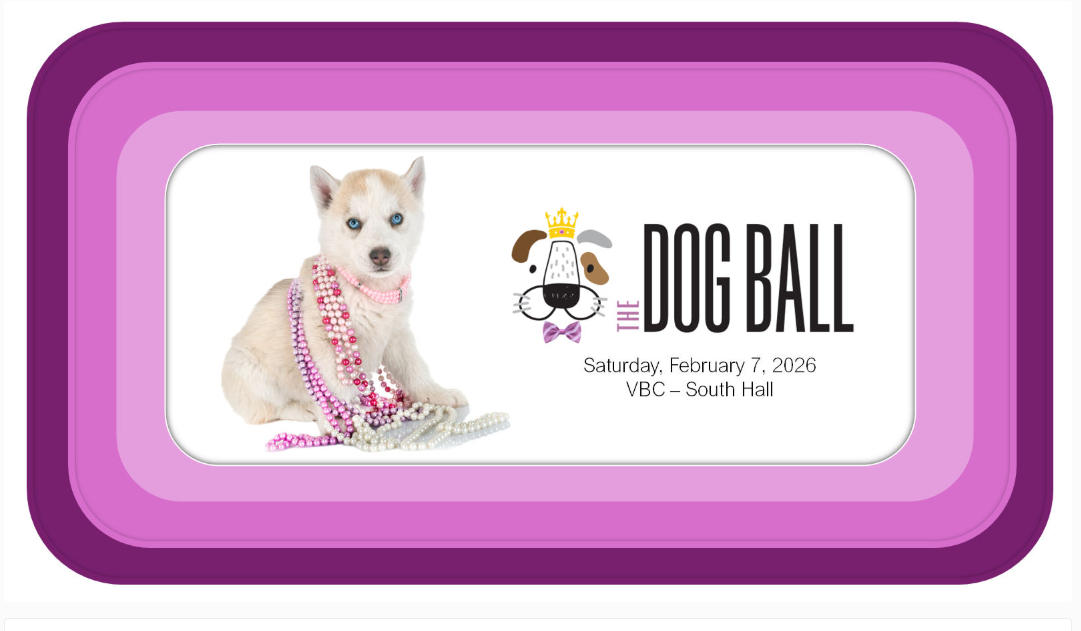 The Dog Ball The Dog Ball