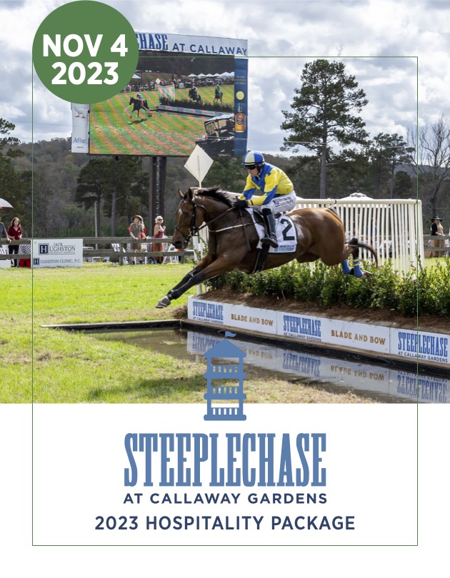 Steeplechase Children's Art Show