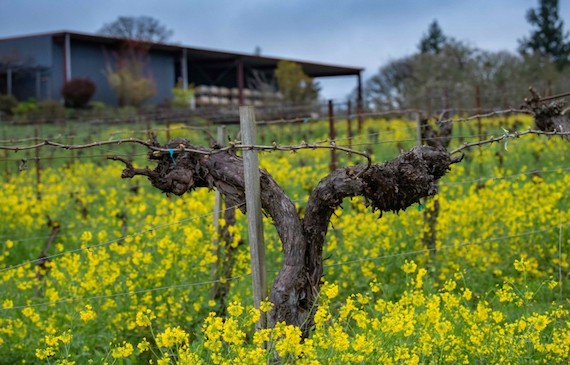Bethel-Heights-Winery.jpg