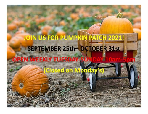 Pumpkinpatch2021.jpeg
