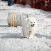 keg1.jpg
