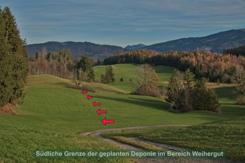 Landschaft im Bereich des geplanten Deponiegeländes am Weihergut