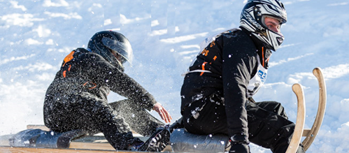 Hornschlitten Sulzberg